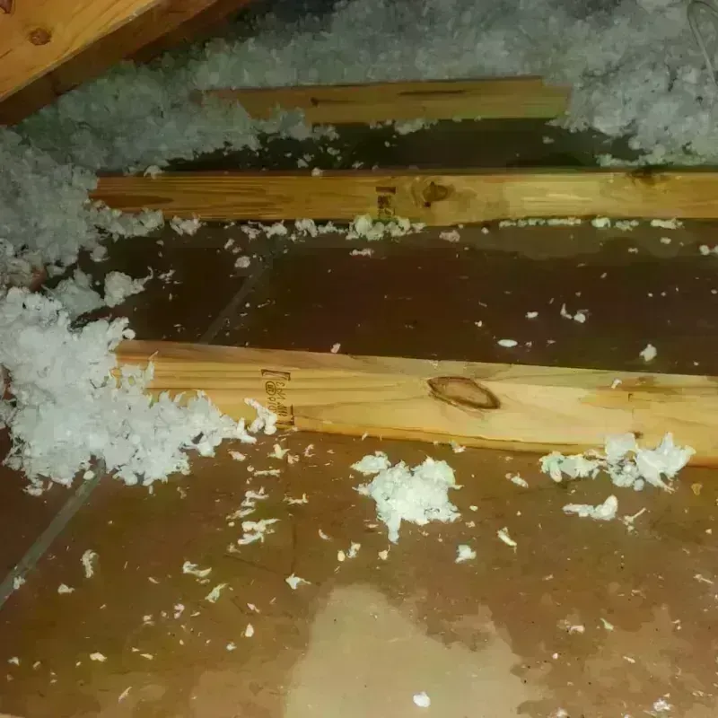 Attic Water Damage in Smithfield, UT